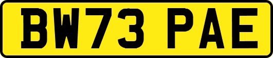 BW73PAE