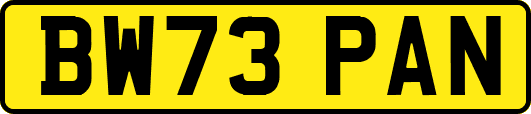 BW73PAN