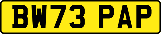 BW73PAP