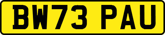 BW73PAU