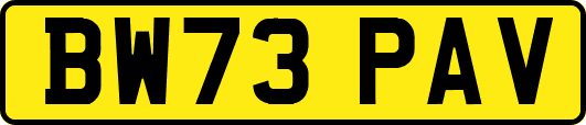 BW73PAV
