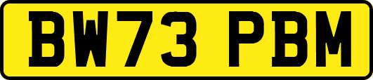 BW73PBM