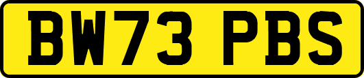 BW73PBS