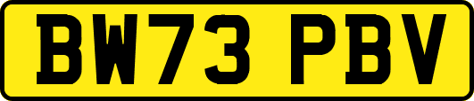 BW73PBV