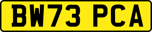 BW73PCA