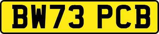BW73PCB