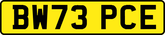 BW73PCE