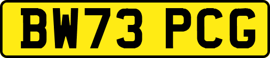 BW73PCG