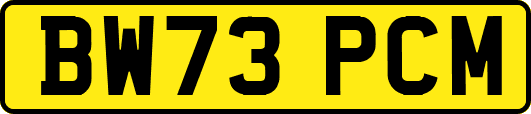 BW73PCM
