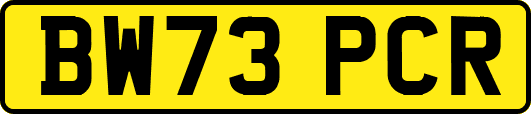 BW73PCR