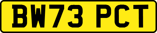 BW73PCT
