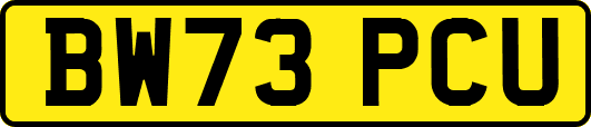 BW73PCU