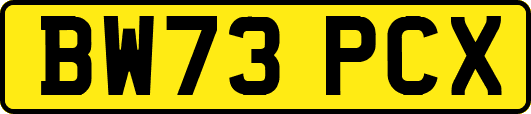 BW73PCX
