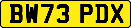 BW73PDX