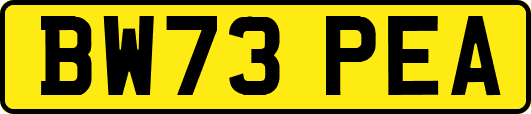 BW73PEA