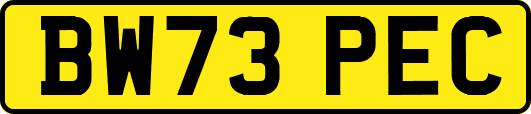 BW73PEC