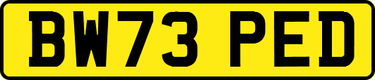 BW73PED