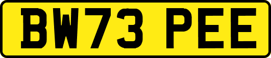 BW73PEE