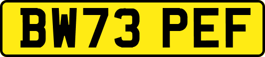 BW73PEF