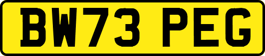 BW73PEG