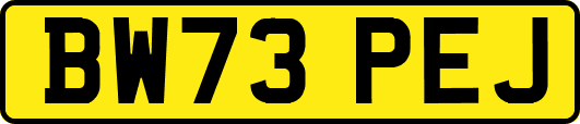 BW73PEJ