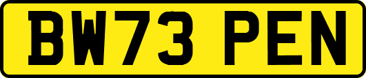 BW73PEN
