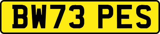 BW73PES