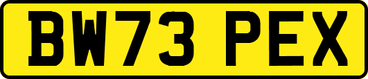 BW73PEX