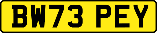 BW73PEY