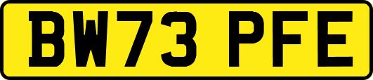 BW73PFE