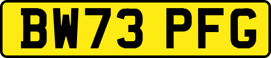 BW73PFG