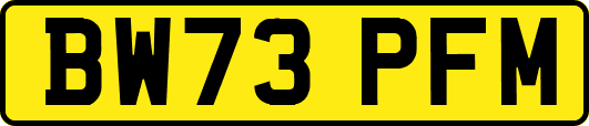 BW73PFM