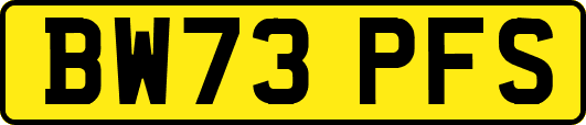 BW73PFS