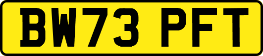 BW73PFT