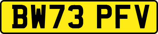 BW73PFV
