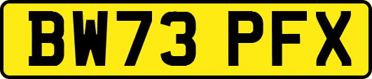BW73PFX