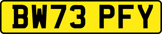 BW73PFY