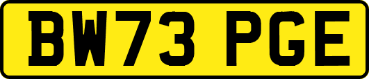 BW73PGE
