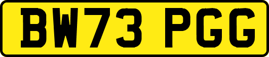 BW73PGG