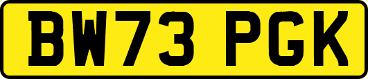 BW73PGK