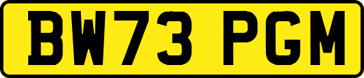 BW73PGM