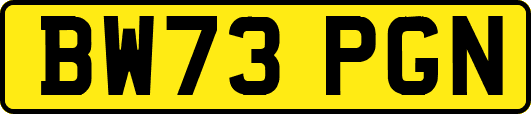 BW73PGN