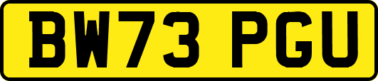 BW73PGU