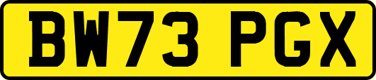 BW73PGX