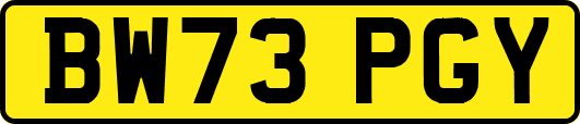 BW73PGY