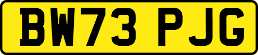BW73PJG