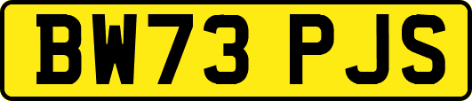 BW73PJS