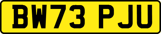 BW73PJU
