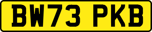 BW73PKB