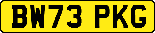 BW73PKG